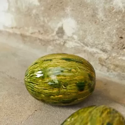 MELÃO EM CERÂMICA - ETUREL MADRID