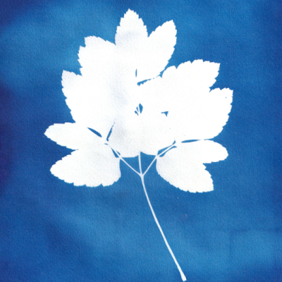 POSTAL "SER SOMBRA NOVE" CLÁUDIA SALGUEIRO