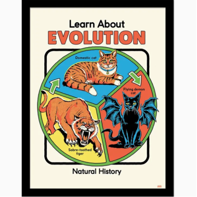 POSTER 30x40 COM MOLDURA "LEARN ABOUT EVOLUTION" PYRAMID INTERNATIONAL