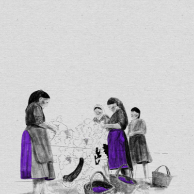 ILUSTRAÇÃO "MULHERES" MARTA NUNES