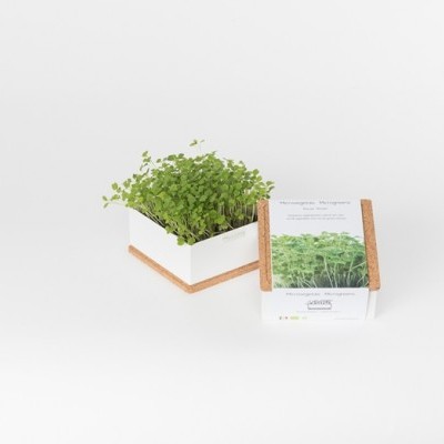 GROW BOX UNO "MICROVEGETAIS - RÚCULA" LIFE IN A BAG