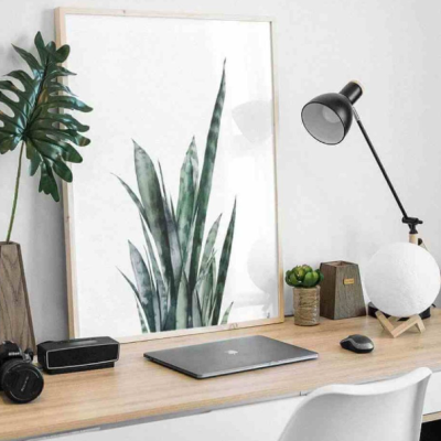 "ESPADA DE SÃO JORGE’" 100% PORTUGAL