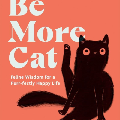 Capa de livro com ilustração de gato preto e texto em branco em fundo laranja