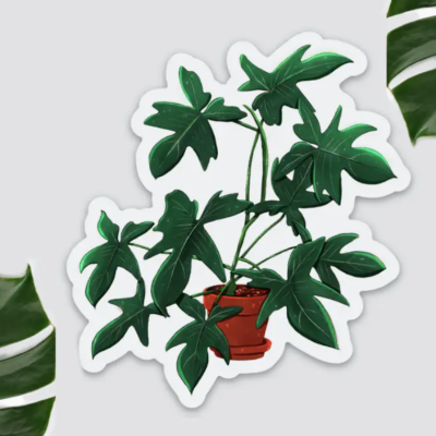 ÍMAN PHILODENDRON FLORIDA GREEN PLANTYINTROVERTS