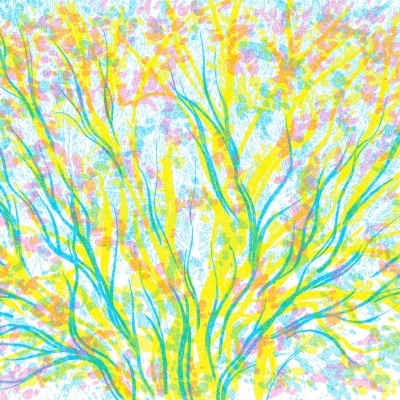 IUSTRAÇÃO "SALGUEIRO-PRETO" BEATRIZ BRAJAL