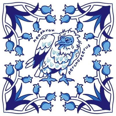 ILUSTRAÇÃO "AZULEJOS DE CASA - NEOPHRON PERCNOPTERUS" MENDI MENDES