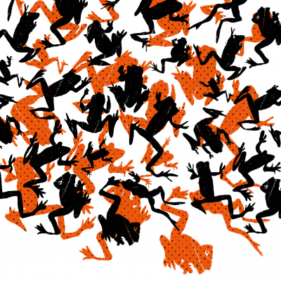 ILUSTRAÇÃO “CARTAZ I - MAGNOLIA” MARTA NUNES