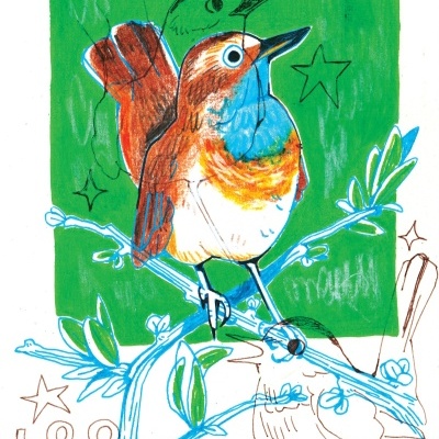 ILUSTRAÇÃO "PISCO DE PEITO AZUL"