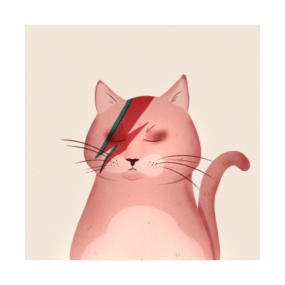 COLETIVA BEST OFF 2024 "DAVID MEOWIE" SARA FELGUEIRAS