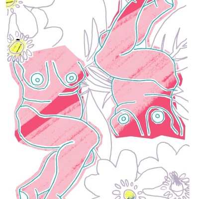 ILUSTRAÇÃO COR-DE-ROSA "BELUS FEMININUS" MARIA CAPAZ