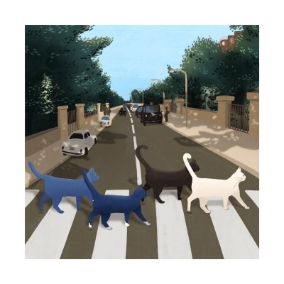 ILUSTRAÇÃO "THE KITTENS" SARA FELGUEIRAS