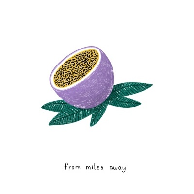 ILUSTRAÇÃO "PASSIONFRUIT" KIKA
