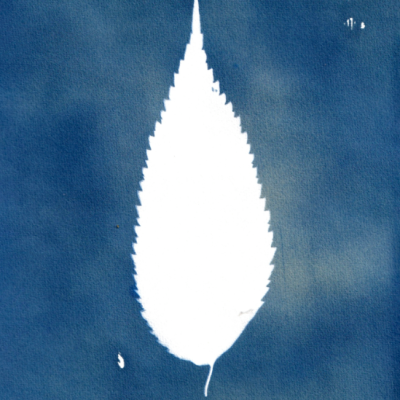 POSTAL "SER SOMBRA TRÊS" CLÁUDIA SALGUEIRO