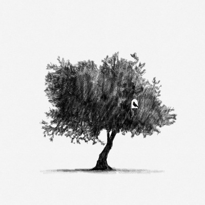 ILUSTRAÇÃO "AZINHEIRA I" MARTA NUNES