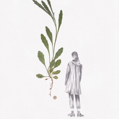 ORIGINAL "VERDE HERBÁRIO" CLÁUDIA SALGUEIRO