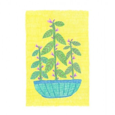 ORIGINAL "VASO 5" DIANA COSTA