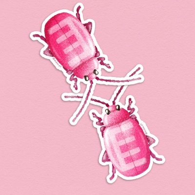 AUTOCOLANTE "BICHO - LOVEBUG - HER" DIOGO PAIXÃO