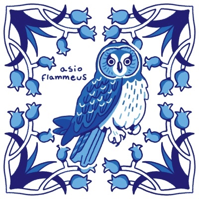 ILUSTRAÇÃO "AZULEJOS DE CASA - ASIO FLAMMEUS" MENDI MENDES