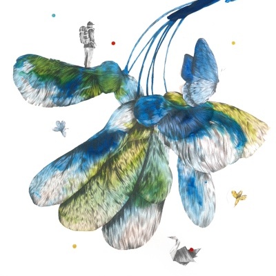 ORIGINAL "QUERER VOAR" CLÁUDIA SALGUEIRO