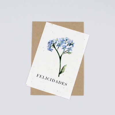 POSTAIS COM SEMENTES "MOMENTOS ESPECIAIS" LIFE IN A BAG