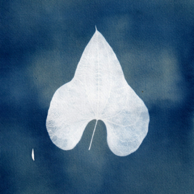 POSTAL "SER SOMBRA DOIS" CLÁUDIA SALGUEIRO