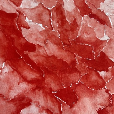 ILUSTRAÇÃO "EU QUERIA ESTAR NA FESTA E COLHER PESSOALMENTE UMA FLOR DO TEU JARDIM" MARIA ROCHA