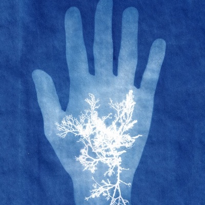 ILUSTRAÇÃO " AZUL DENTRO" CLÁUDIA SALGUEIRO