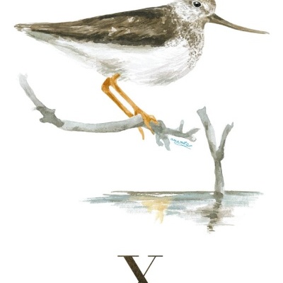 ILUSTRAÇÃO "X" ANA RITA ROBALO