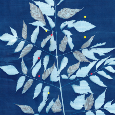 ILUSTRAÇÃO "VIAJAR NAS SOMBRAS" CLÁUDIA SALGUEIRO