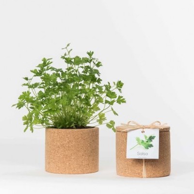 GROW CORK "SALSA" LIFE IN A BAG