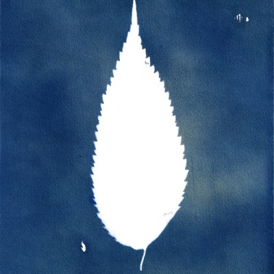 ORIGINAL "SER SOMBRA TRÊS" CLÁUDIA SALGUEIRO