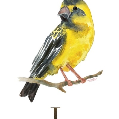 ILUSTRAÇÃO "L" ANA RITA ROBALO