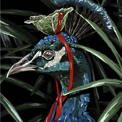 ILUSTRAÇÃO "UM ANIMAL EM CADA LUGAR - PAVÃO" ISA MARITA