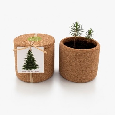 GROW CORK "PINHEIRO DE NATAL" LIFE IN A BAG
