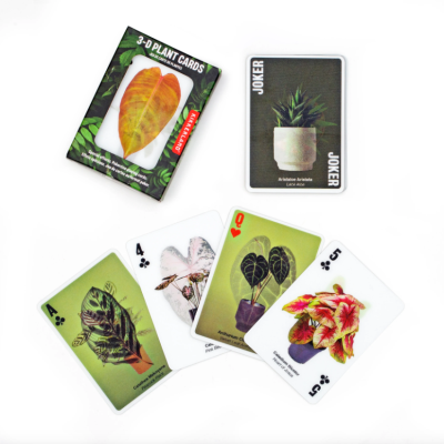 "3D PLANT CARDS" KIKKERLAND