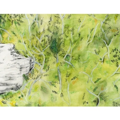 ILUSTRAÇÃO "ZIMBRO" RAQUEL FORTE