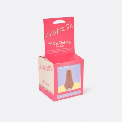 30 DAYS CHALLENGE GRATITUDE ANOTHER ME DOIY DESIGN