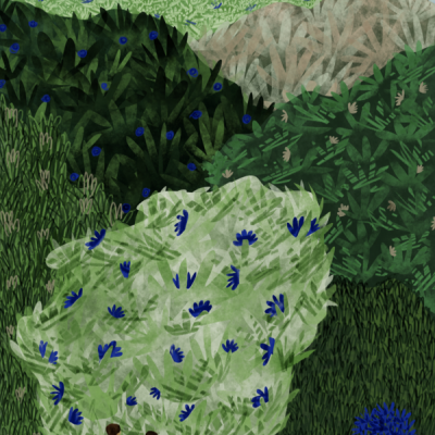 ILUSTRAÇÃO "TINY HUMANS AND THE NATURE" EVA HALFERS