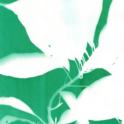 ILUSTRAÇÃO "VERDE SOMBRA II" CLÁUDIA SALGUEIRO