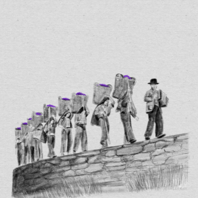 ILUSTRAÇÃO "CANÇÃO" MARTA NUNES