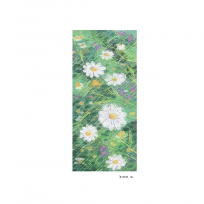 ILUSTRAÇÃO A4 "CAMEO - FLORES " DIDAS (DIOGO PAIXÃO)