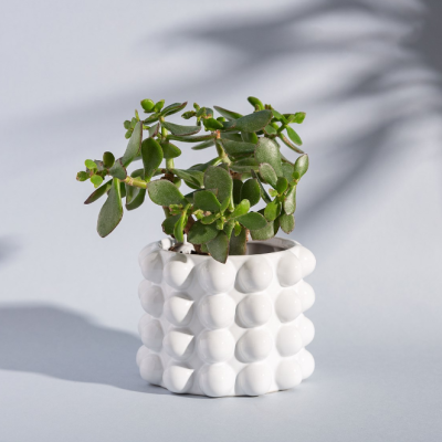 WHITE BOBBLE PLANTER SASS AND BELLE