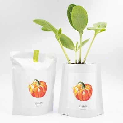 STARTER BAG "ABÓBORA" LIFE IN A BAG