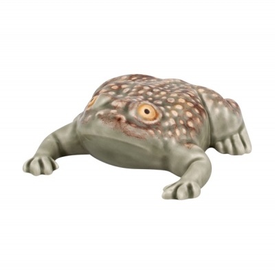 SAPO GRANDE 11 BORDALLO PINHEIRO