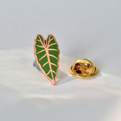 PIN ALOCASIA FRYDEK PLANTYINTROVERTS