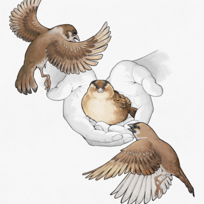 ILUSTRAÇÃO "MAIS VALE UM PÁSSARO NA MÃO DO QUE DOIS A VOAR" FRANK O MUDO