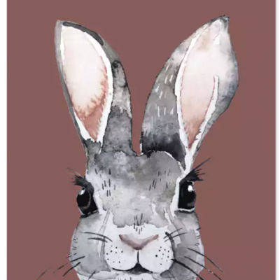 POSTAL "BROWN RABBIT" NUUKK