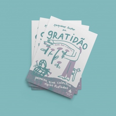 ZINE "PEQUENO LIVRO DA GRATIDÃO" ÁGUAS FURTADAS