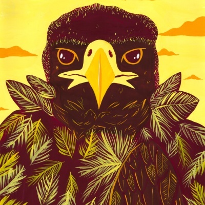 ILUSTRAÇÃO "ABUTRE-PRETO" SARA FELGUEIRAS