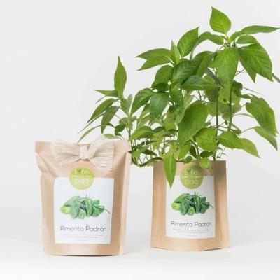 GROW BAG "PIMENTO PADRÓN" LIFE IN A BAG